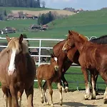 Burehof Waltrigen By Interhome Lägenhet Hausernmoos