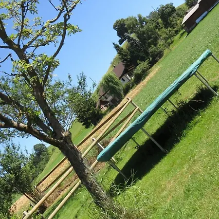 Appartement Burehof Waltrigen By Interhome Hausernmoos