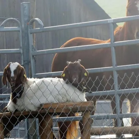 Burehof Waltrigen By Interhome * Hausernmoos