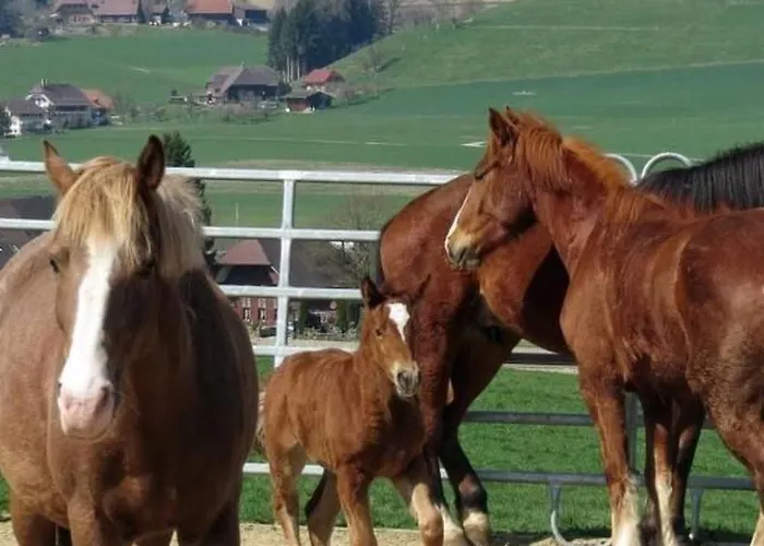 Burehof Waltrigen By Interhome Appartement Hausernmoos