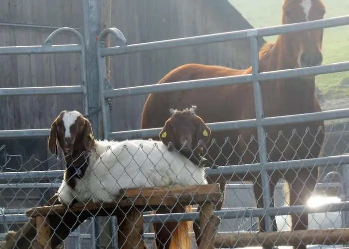 Burehof Waltrigen By Interhome * Hausernmoos