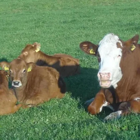 Burehof Waltrigen By Interhome Apartamento *