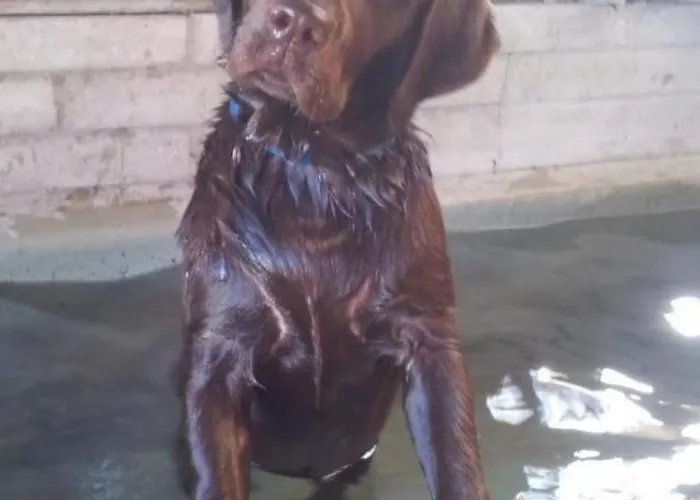 Apartamento Burehof Waltrigen By Interhome Hausernmoos