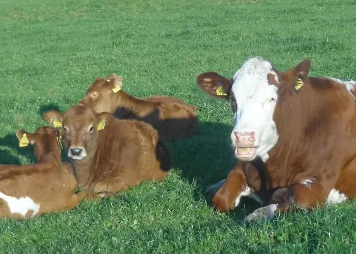 Burehof Waltrigen By Interhome Apartamento *