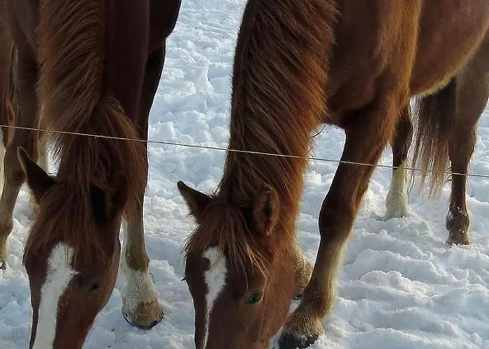 Burehof Waltrigen By Interhome Apartamento *